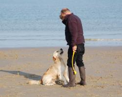 Goldsream Jones Cadzand