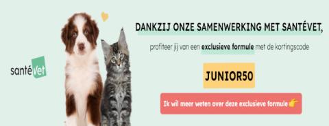 payvet-service